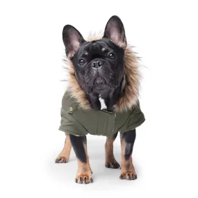 Canada Pooch Alaskan Army Parka Size 20 Army Green Insulated Dog Coat