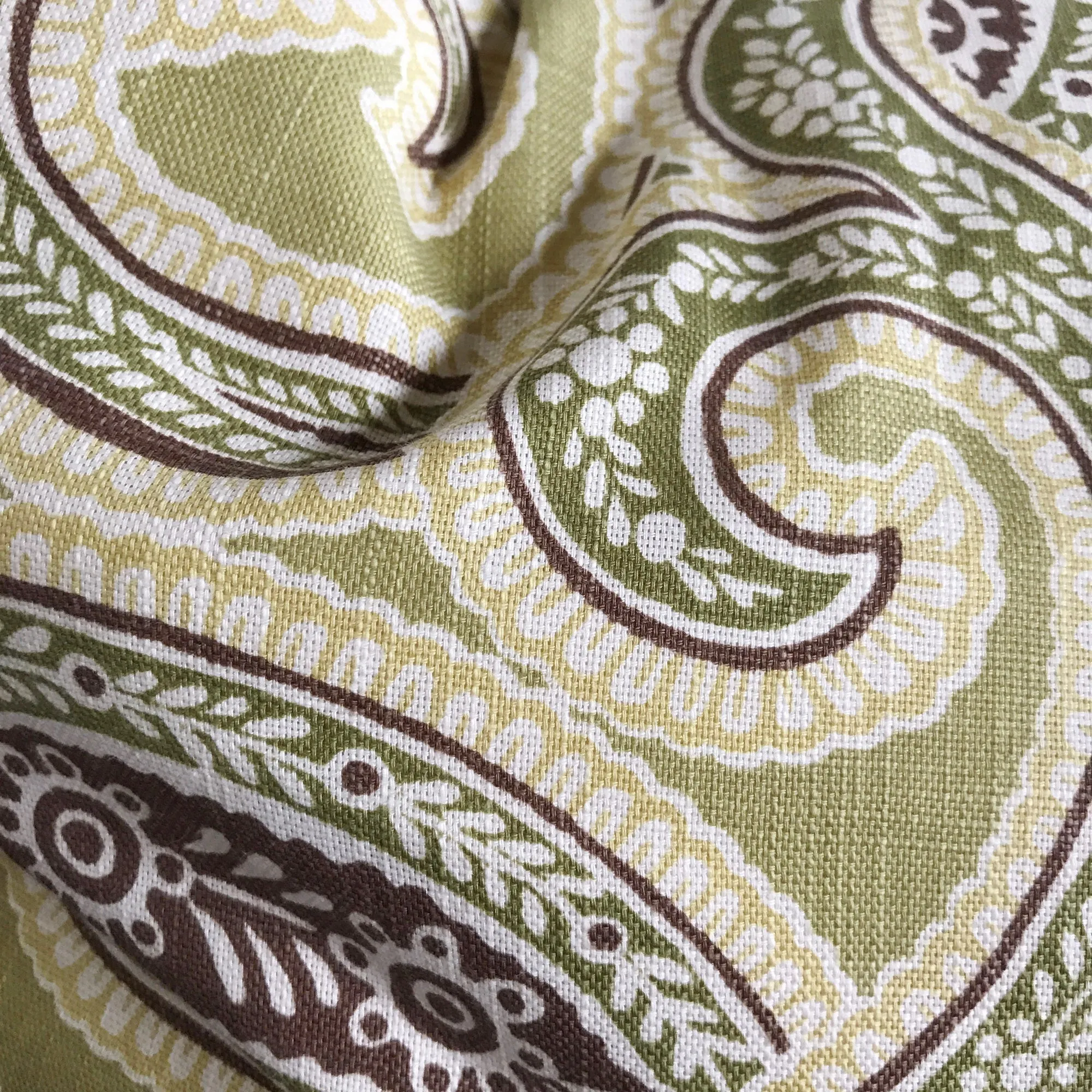 Green Citrus Modern Paisley Lumbar Pillow Cover 15x26