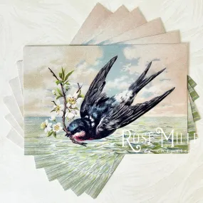 Left Swooping Bird  With Blossom- Layering PostCards