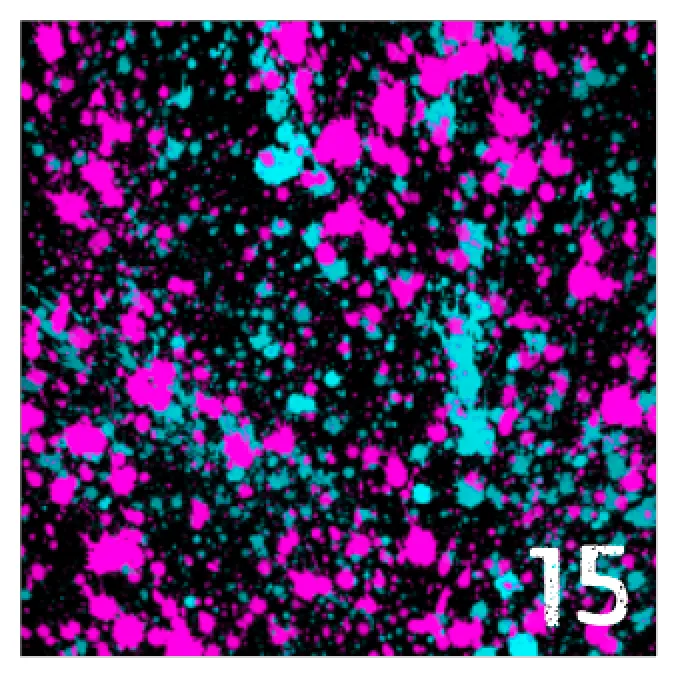 Printed Adhesive Vinyl NEON PAINT SPLATTER on Black Background